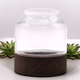 Kleines geformtes Terrarium auf dunklem Tungholz – 12 x 13 cm