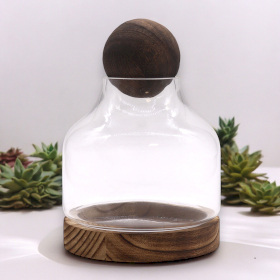 Mittleres Terrarium mit Kugeldeckel auf dunklem Tungholz – 17 x 22 cm