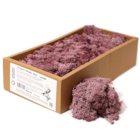 Hochwertiges Dekoration Islandermoos - Lavendel - 635g Box