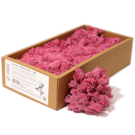 Hochwertige Dekoration Islandmoos - Rosa- 635g Box