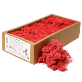 Hochwertiges Deko Islandmoos - Feuerrot- 635g Box