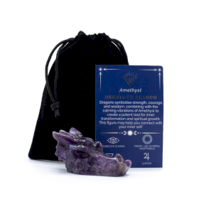 Edelstein Großer Drachenkopf - Amethyst 60x30x35mm