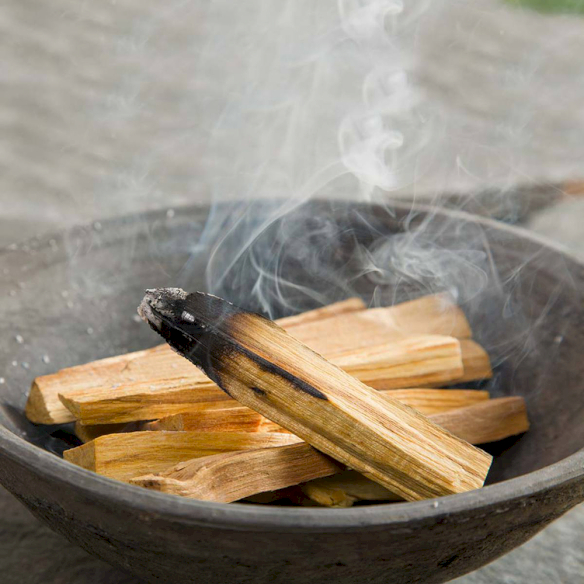 Palo Santo Räucherholz